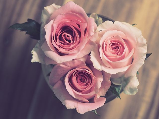 شعر گل