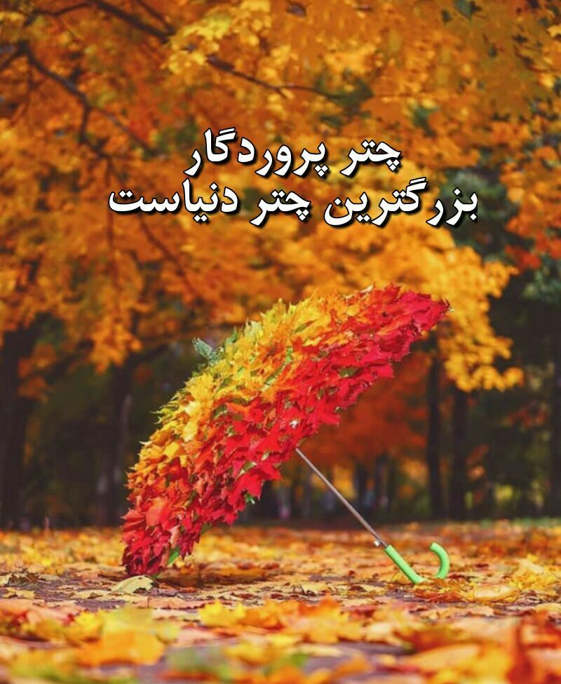 Image result for ‫زندگی زیباست‬‎