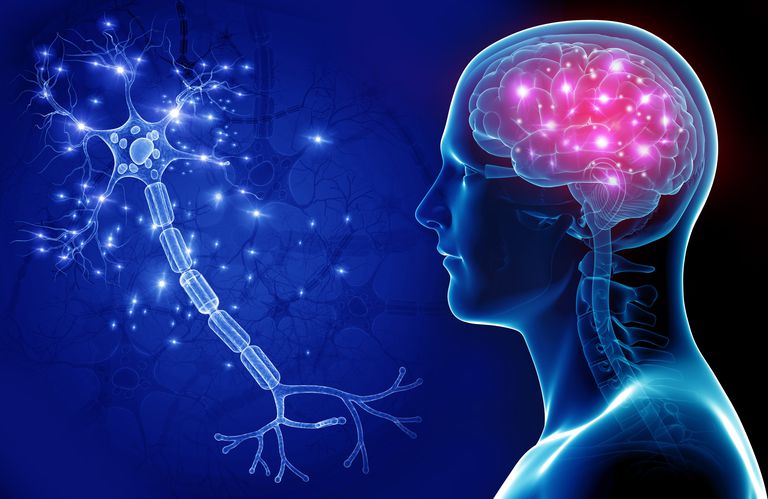 مهدی باغین زاده فیزیولوژیست ورزشی