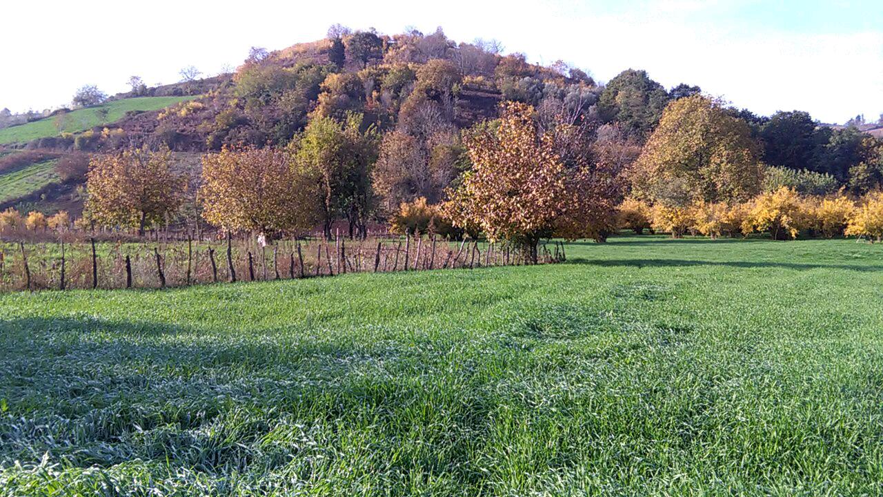 1_4_.jpg (1280×720)