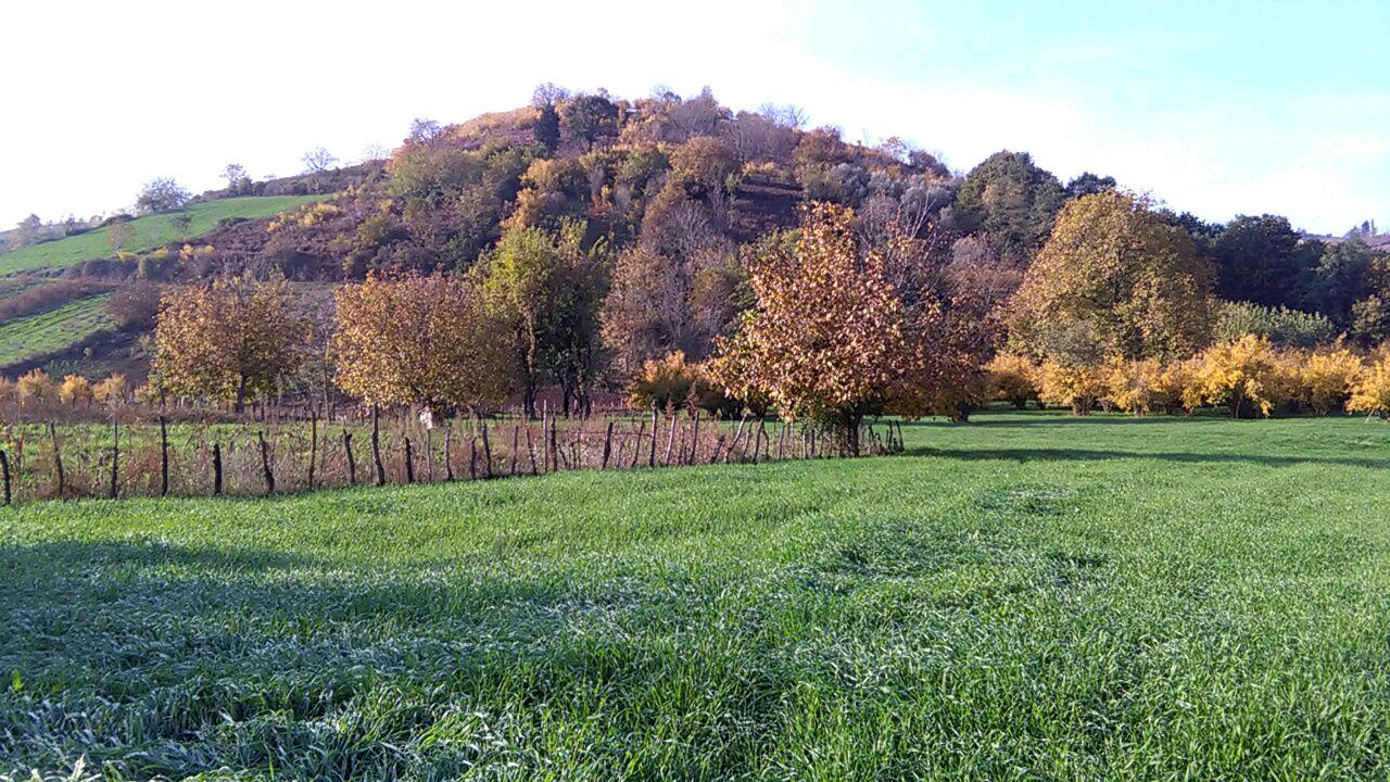 1_7_.jpg (1280×720)