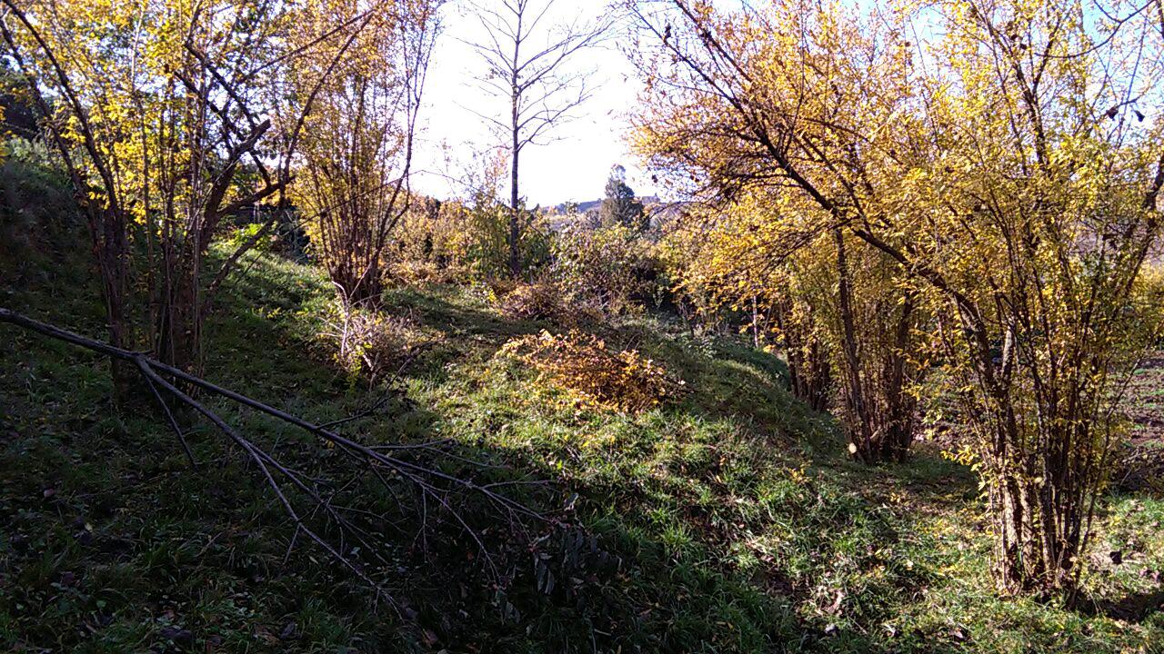 1_8_.jpg (1280×720)