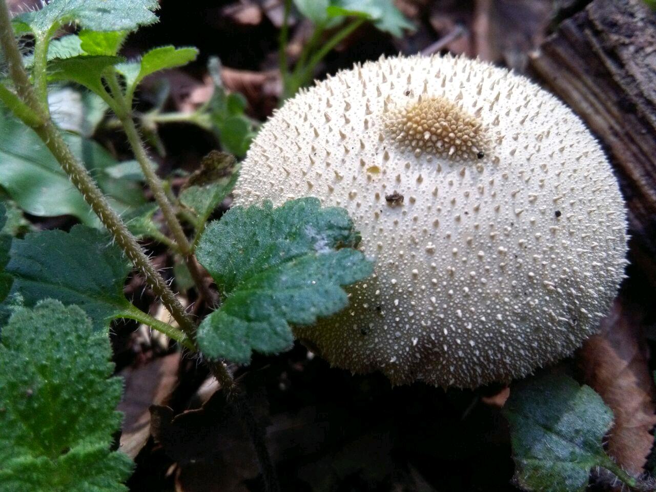 1_6_.jpg (1280×960)