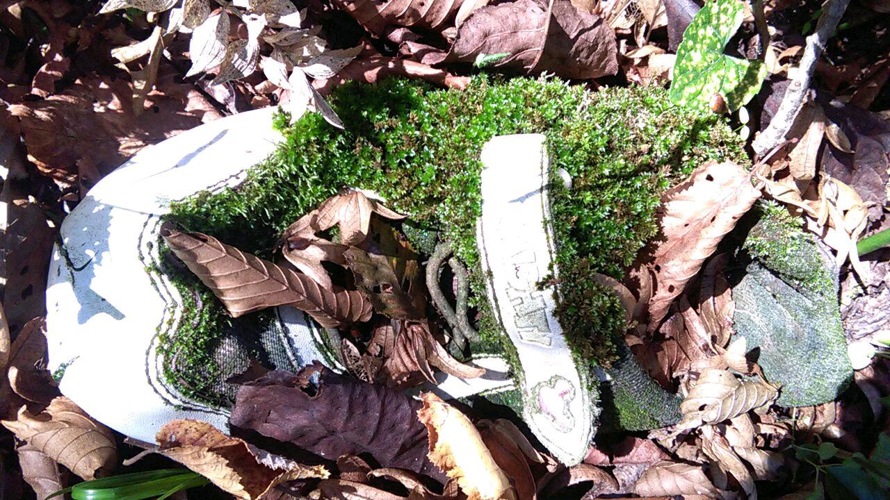 1_7_.jpg (1280×720)