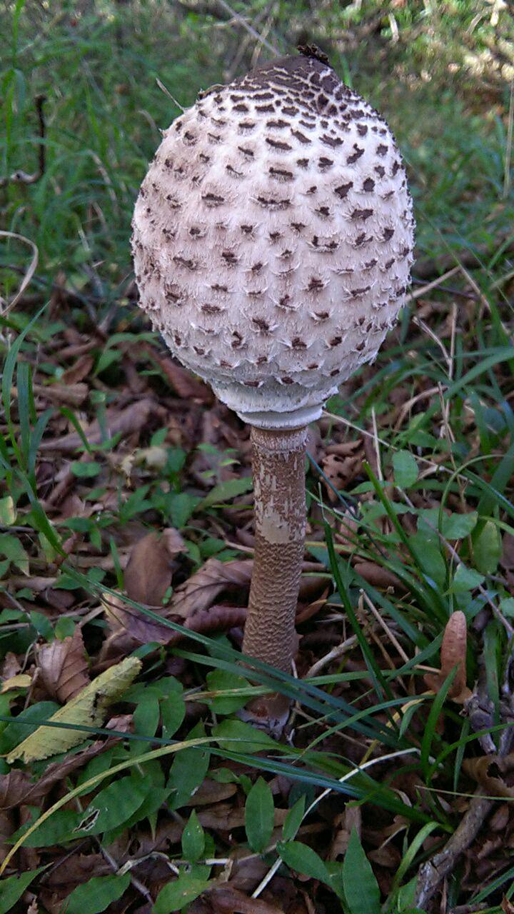 1_8_.jpg (720×1280)