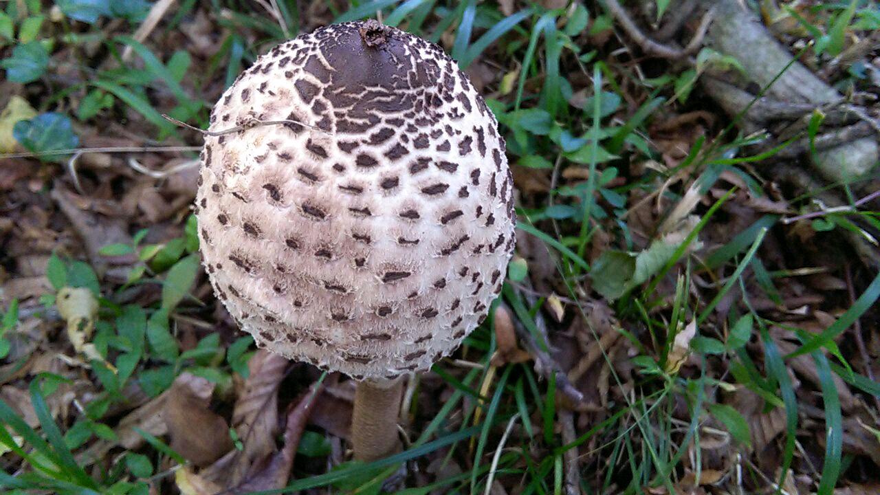 1_9_.jpg (1280×720)