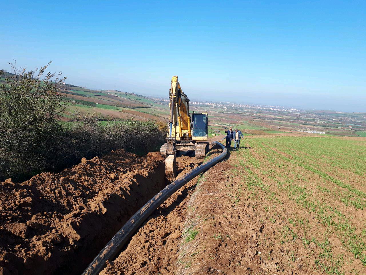 1_18_.jpg (1280×960)