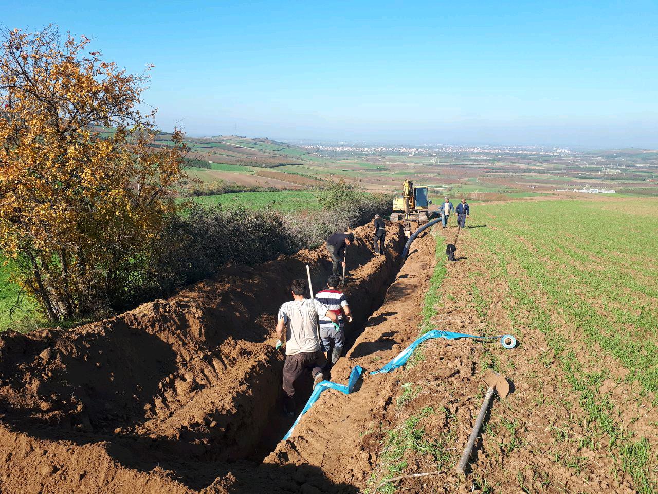 1_20_.jpg (1280×960)