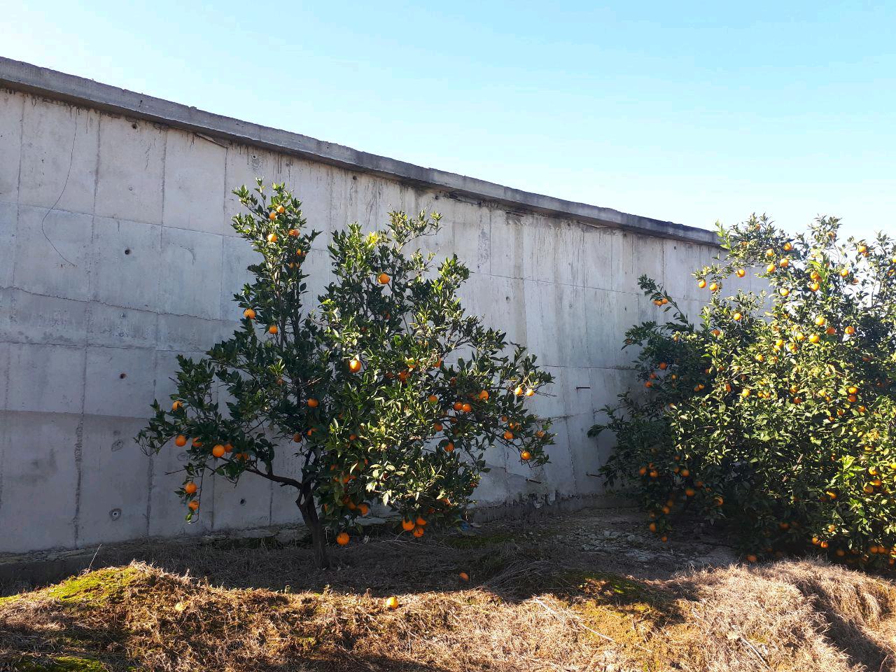 1_24_.jpg (1280×960)