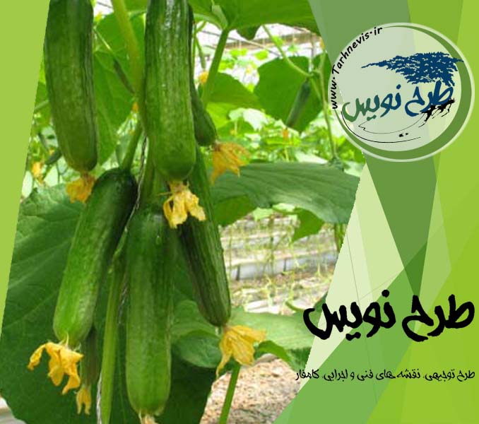 طرح توجیهی