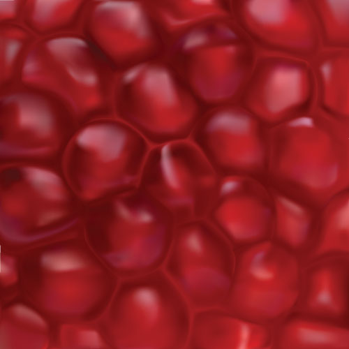 http://s9.picofile.com/file/8346317100/Modern_Design_6_.jpg