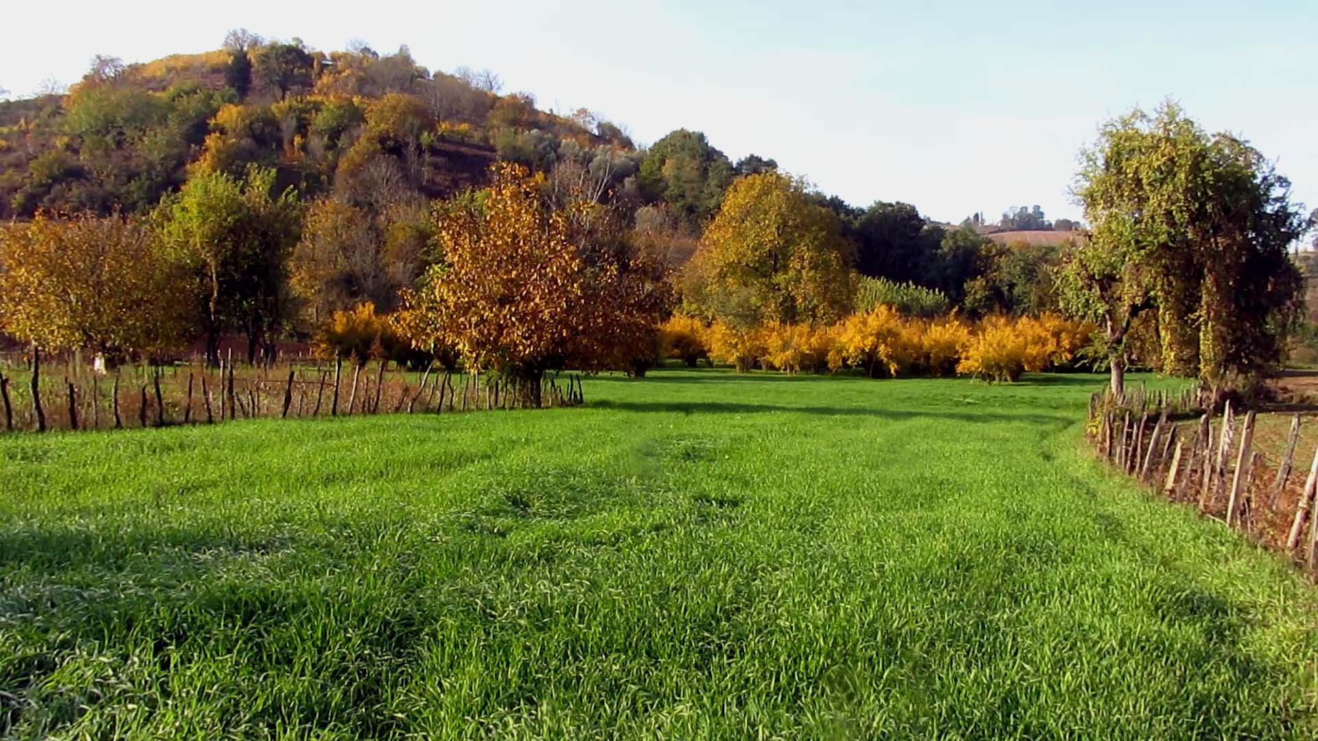 1_1_.jpg (1920×1080)