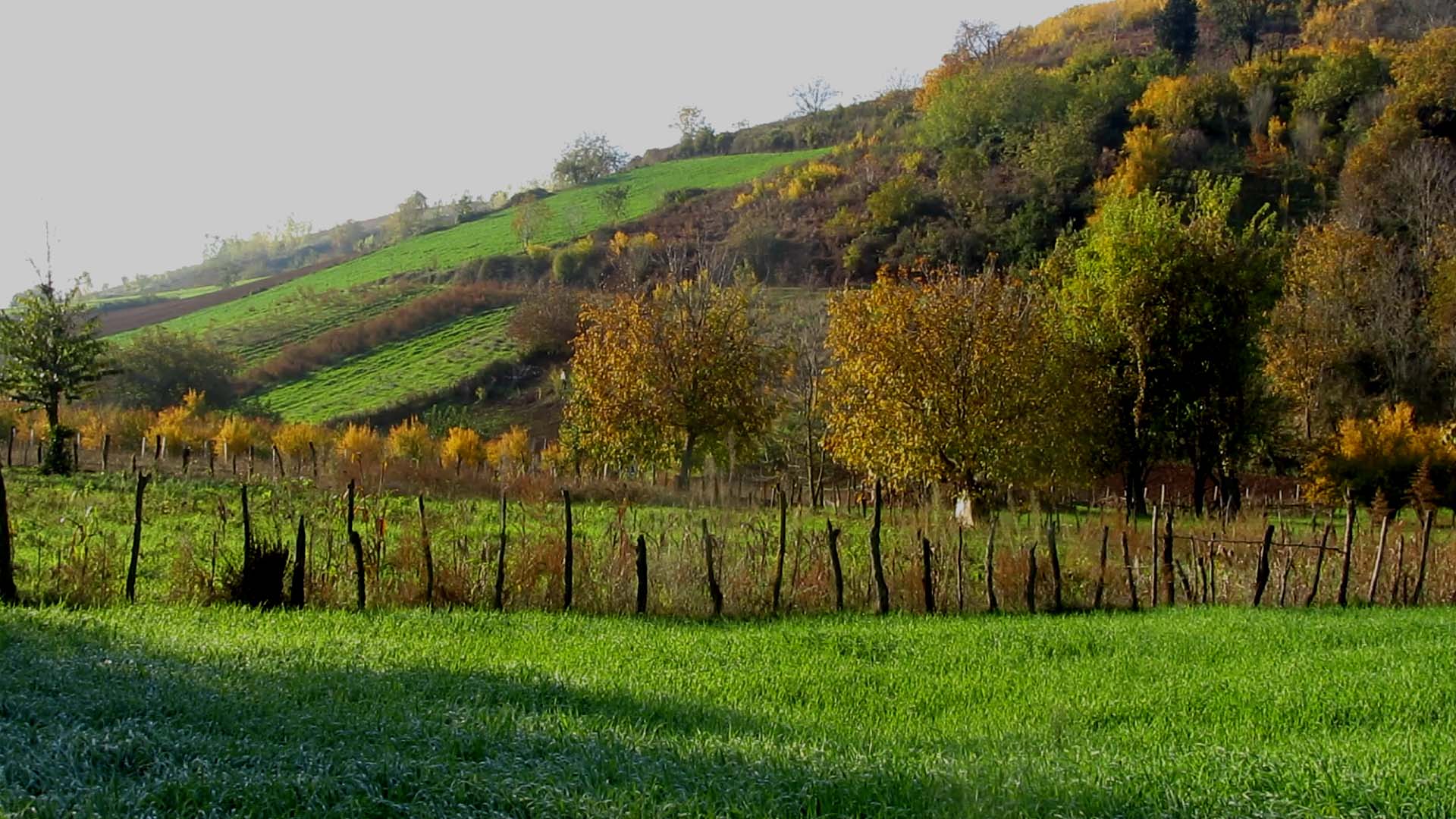 1_4_.jpg (1920×1080)