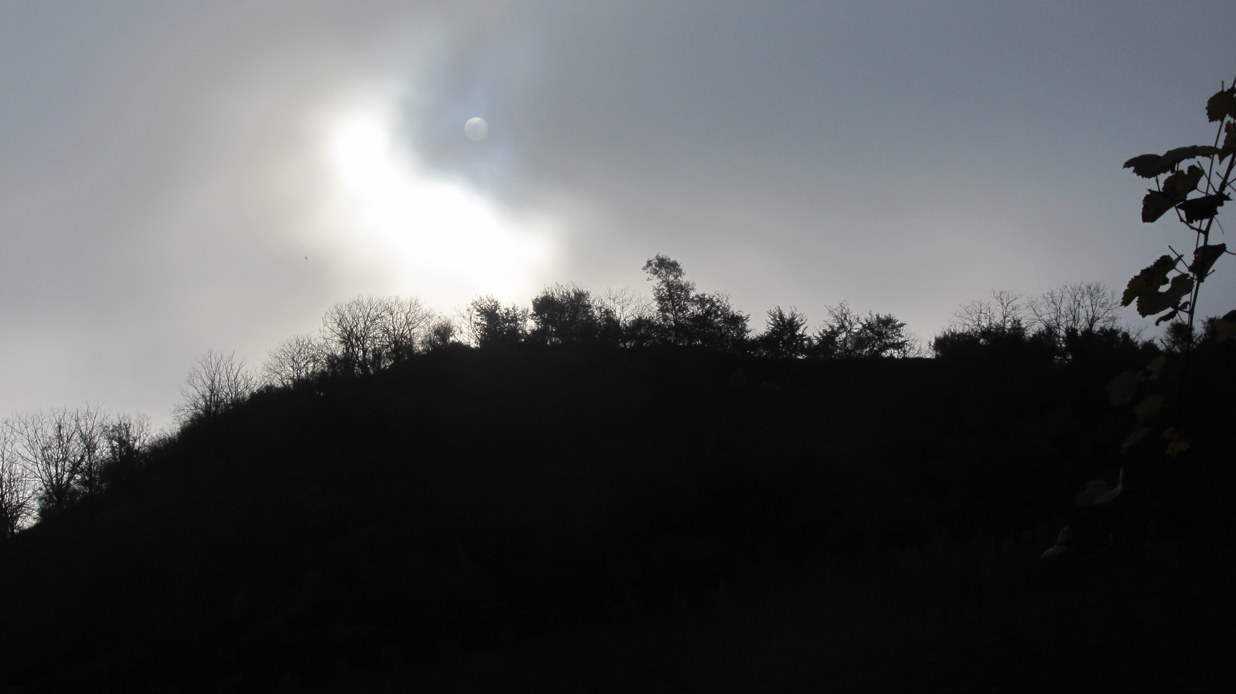 1_7_.JPG (4000×2248)