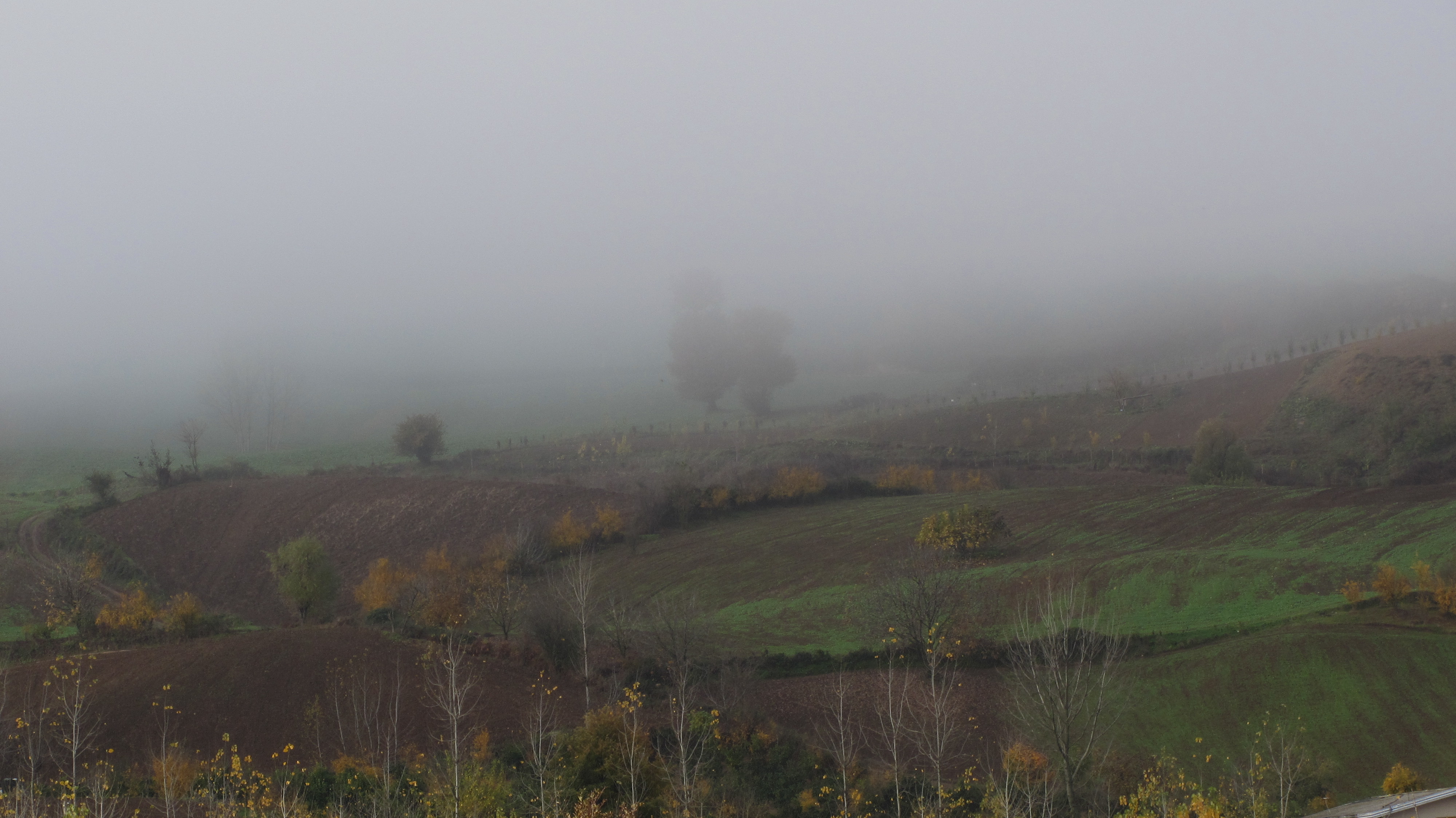 1_9_.JPG (4000×2248)