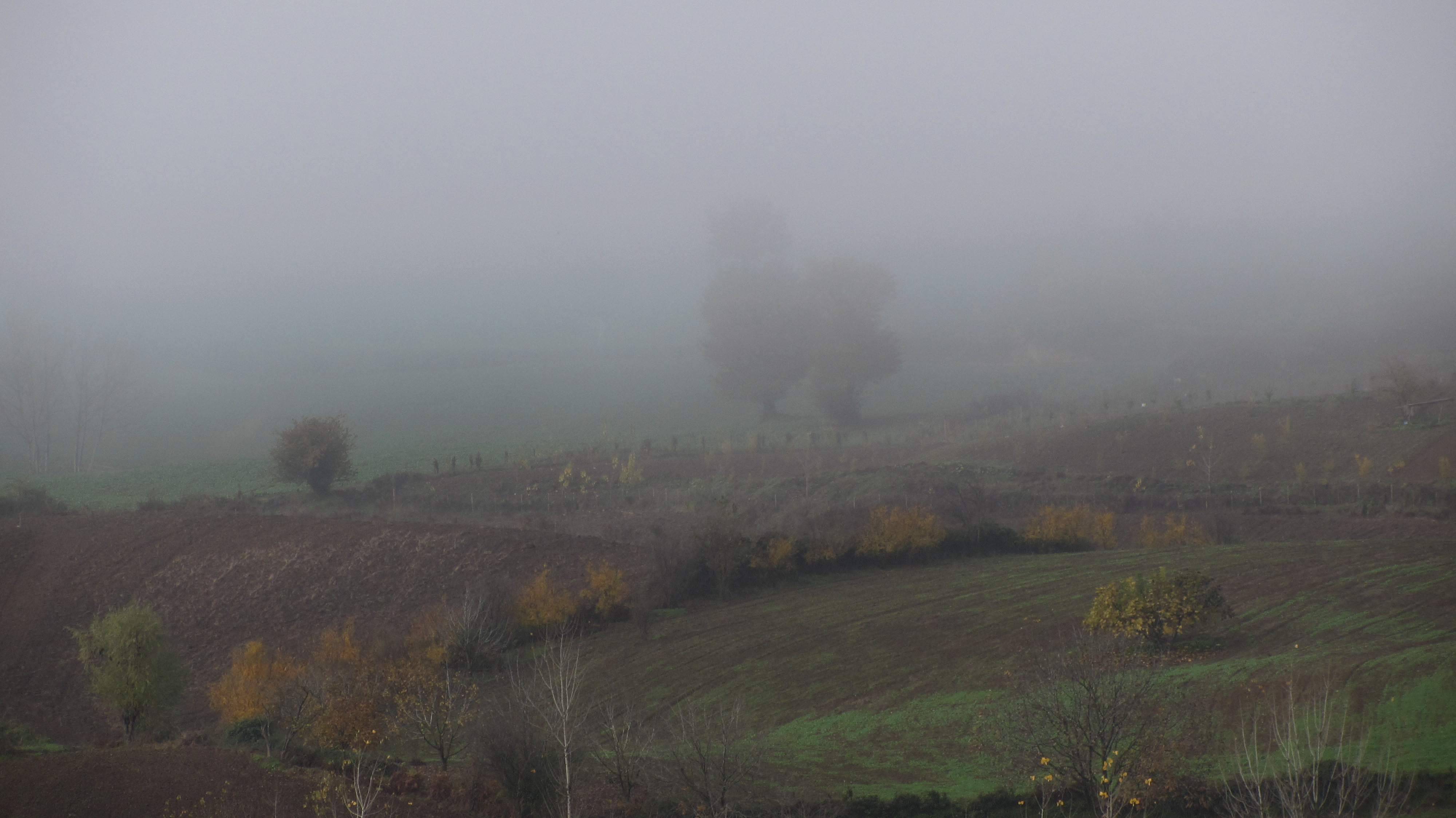 1_10_.JPG (4000×2248)