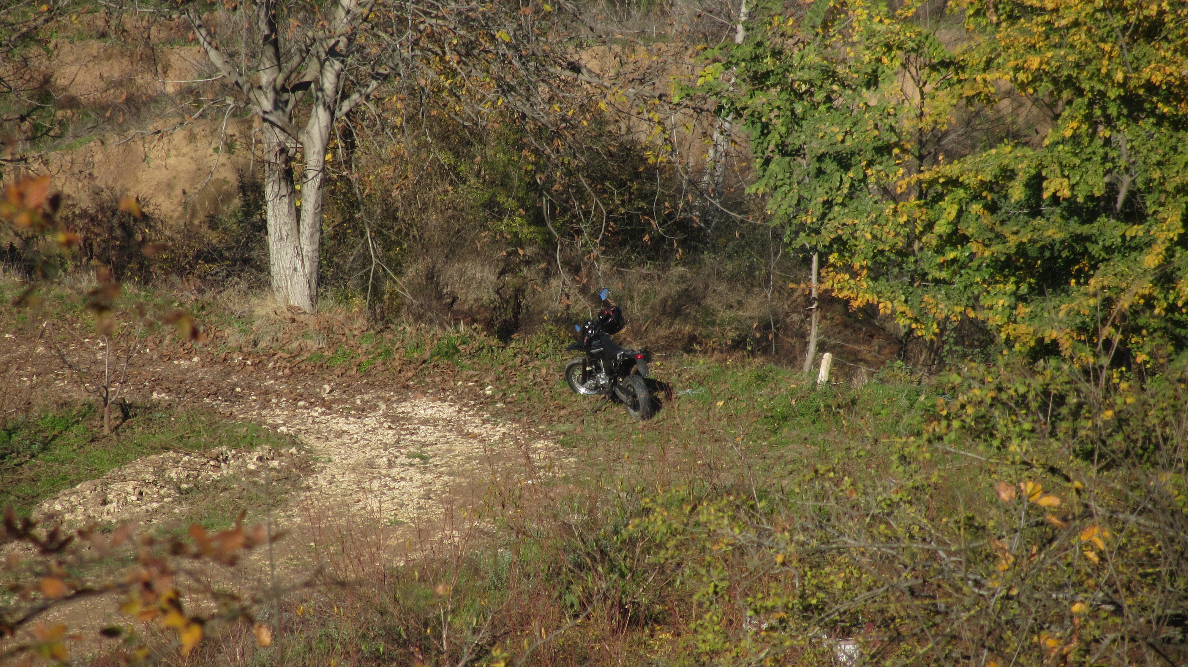 1_11_.JPG (4000×2248)