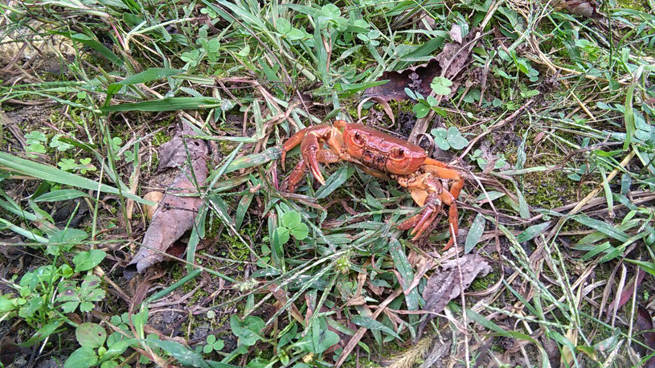 1_1_.jpg (1280×720)