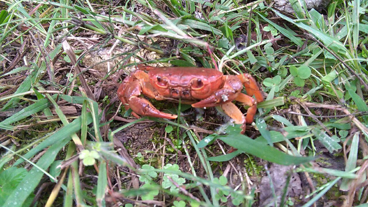 1_2_.jpg (1280×720)