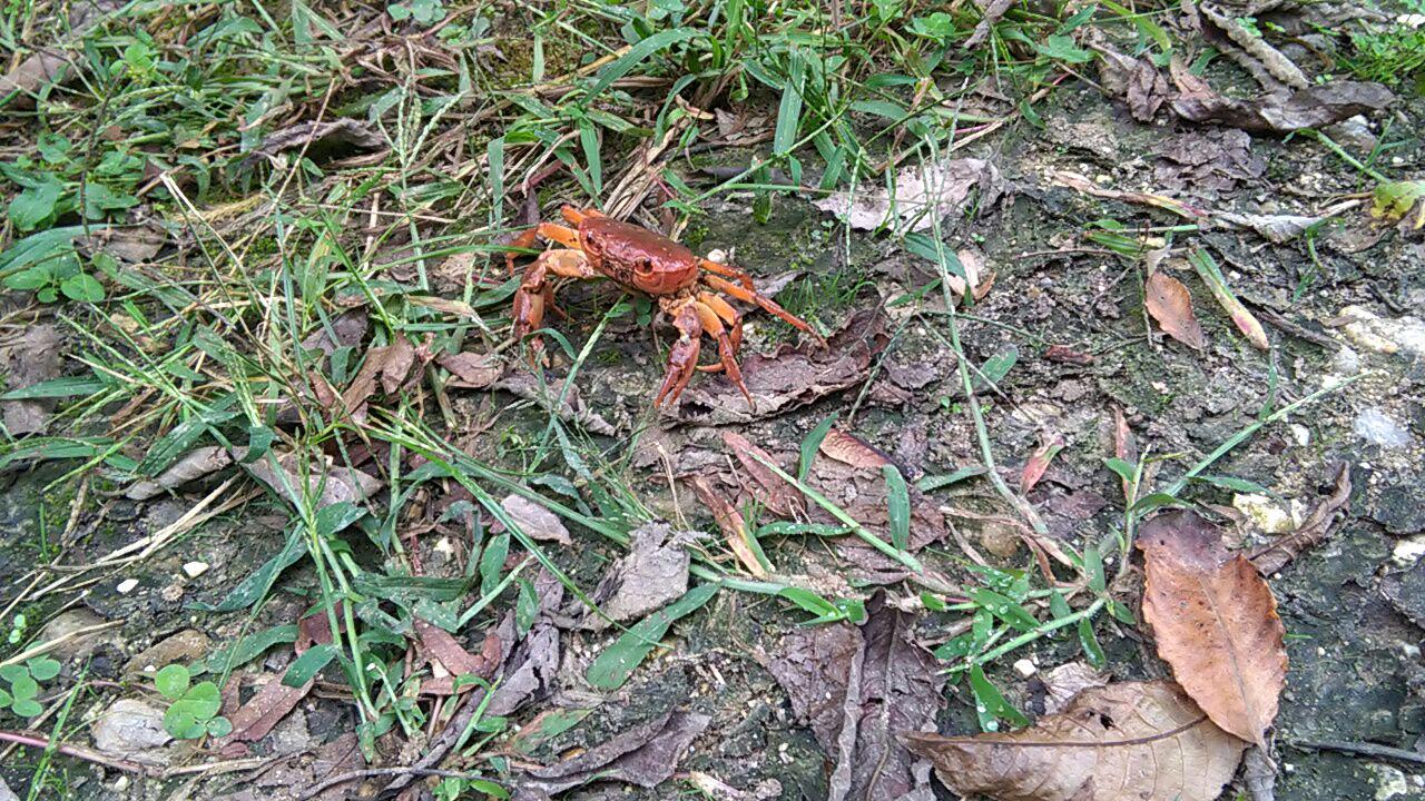 1_4_.jpg (1280×720)