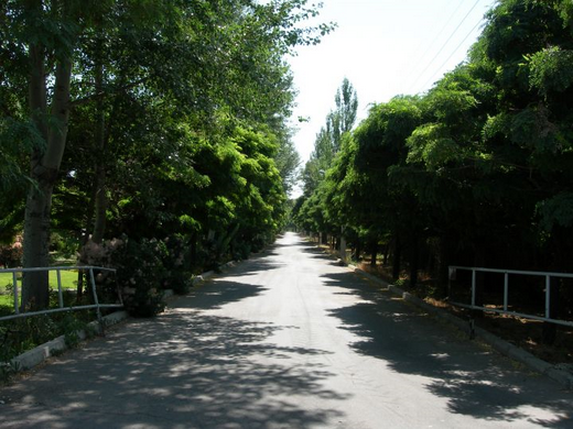 باغ خلعت پوشان