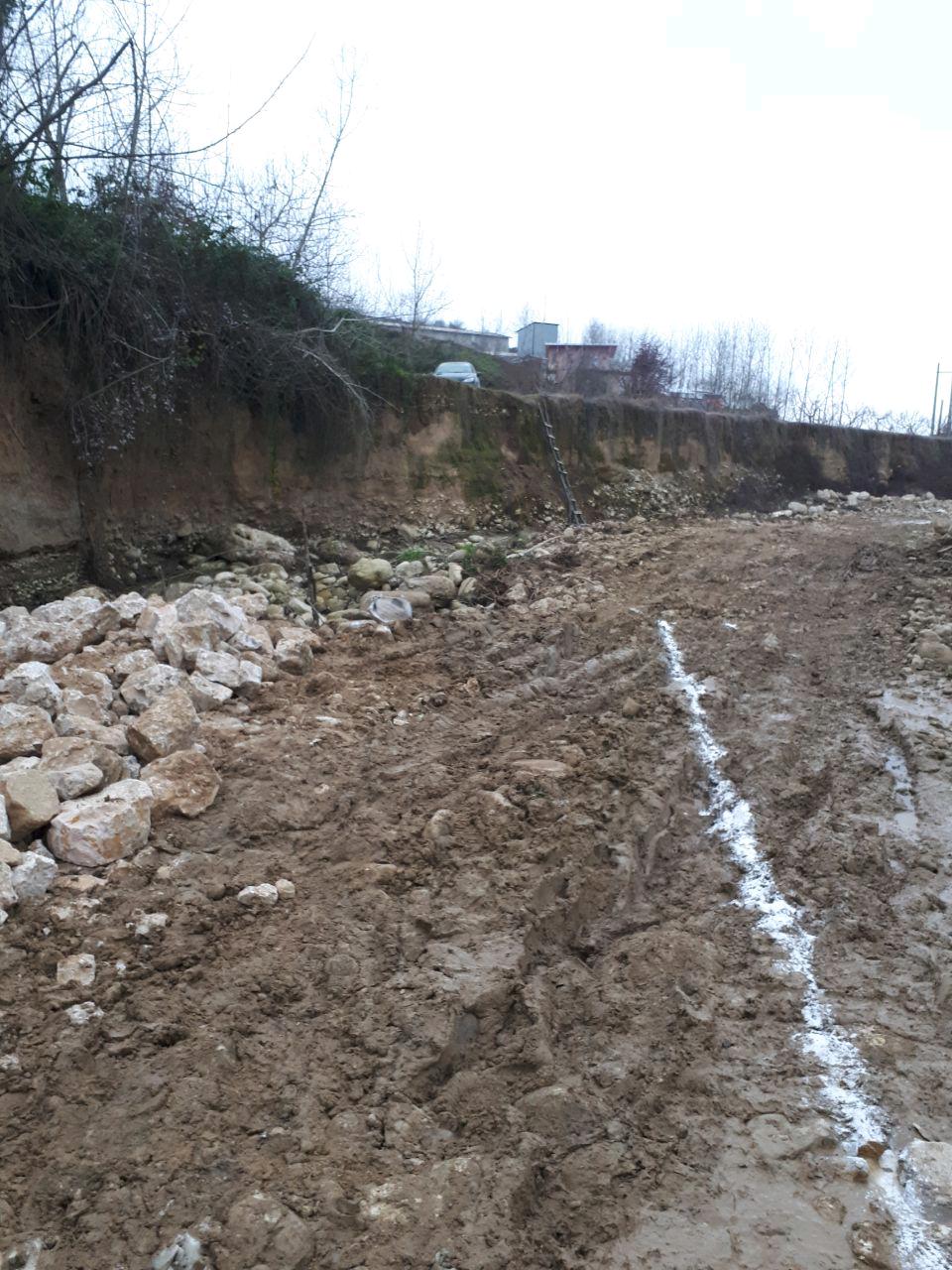 1_3_.jpg (960×1280)