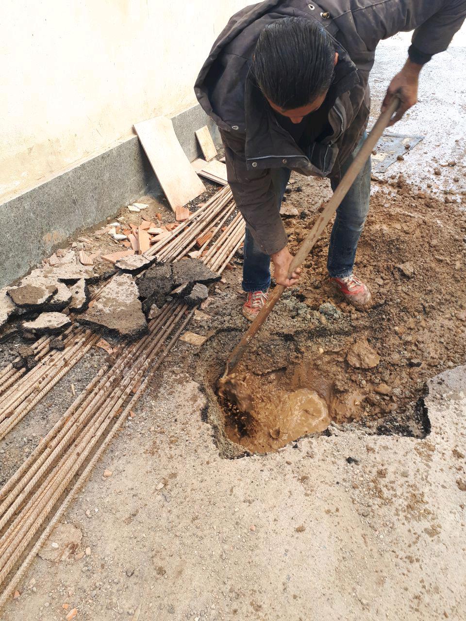 1_1_.jpg (960×1280)