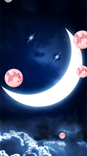 عکس شب