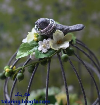 جاحلقه ای عروس و داماد