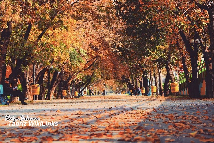 ابوریحان