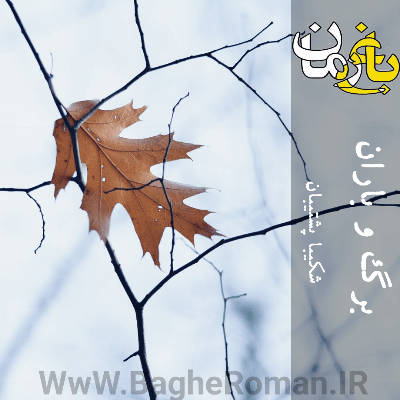 دانلود رمان برگ و باران