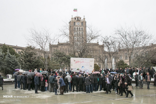 شهرداری