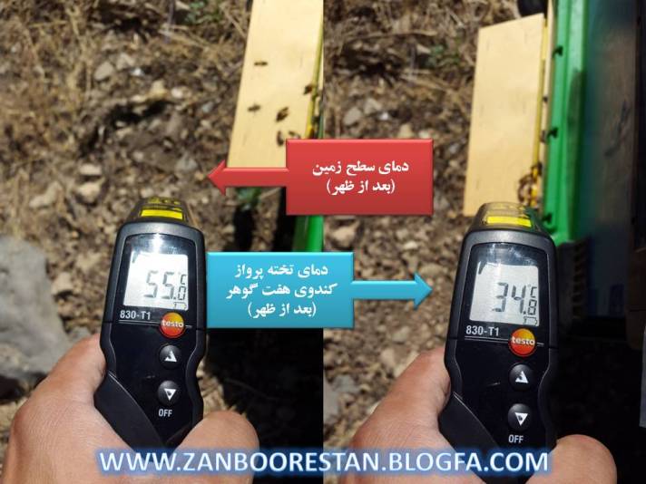 کندوی کف باز در هوای گرم