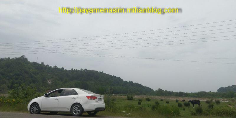 http://s9.picofile.com/file/8361011992/11_17_.jpg