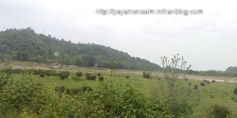http://s9.picofile.com/file/8361012018/11_18_.jpg