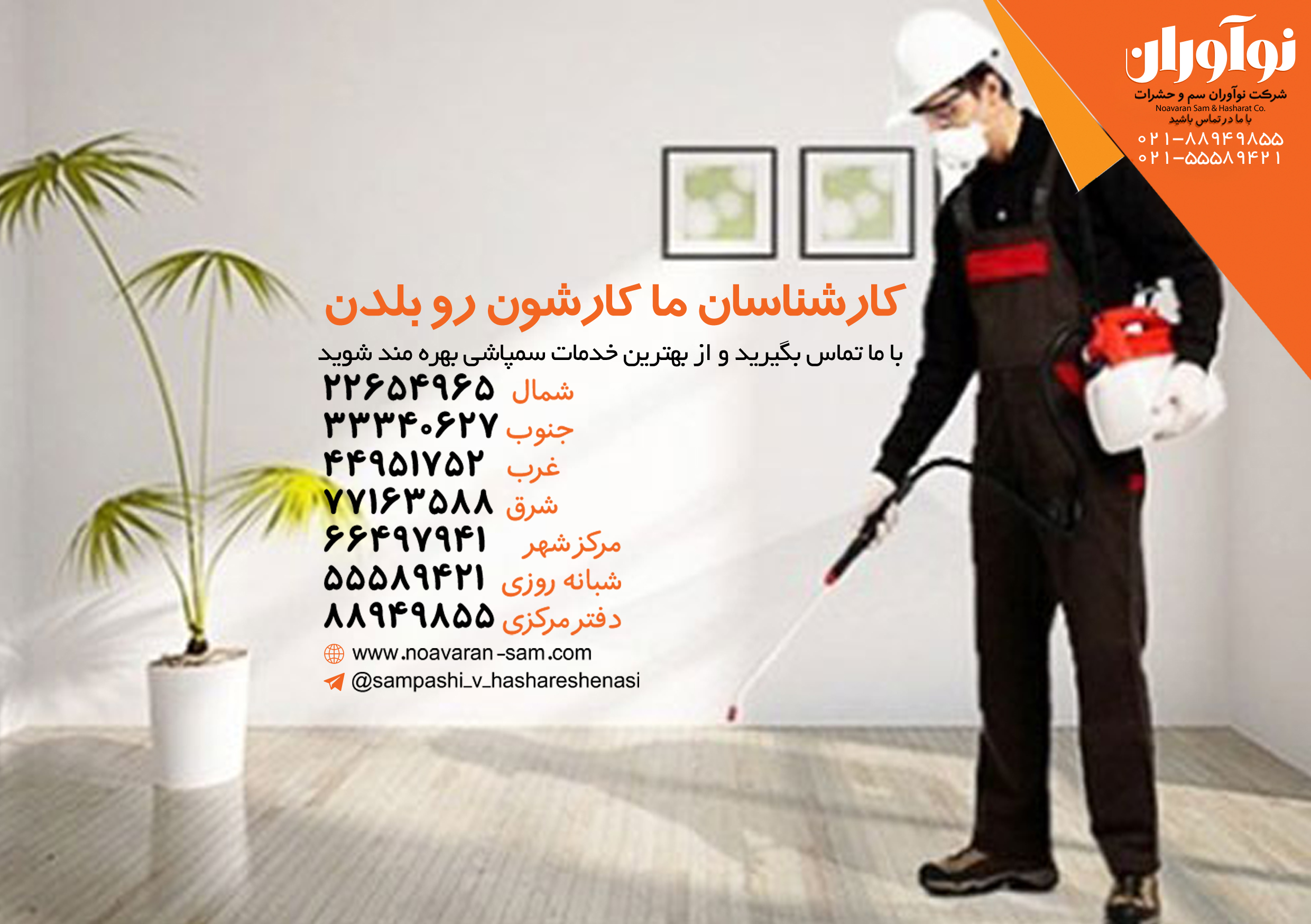 سمپاشی عنکبوت سمپاشی عنکبوت