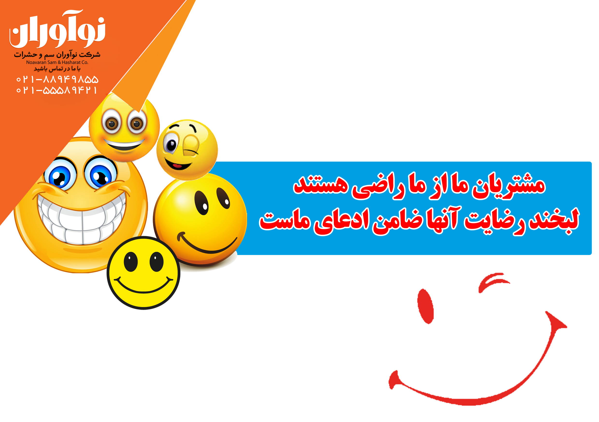 سوسک ها سوسک ها