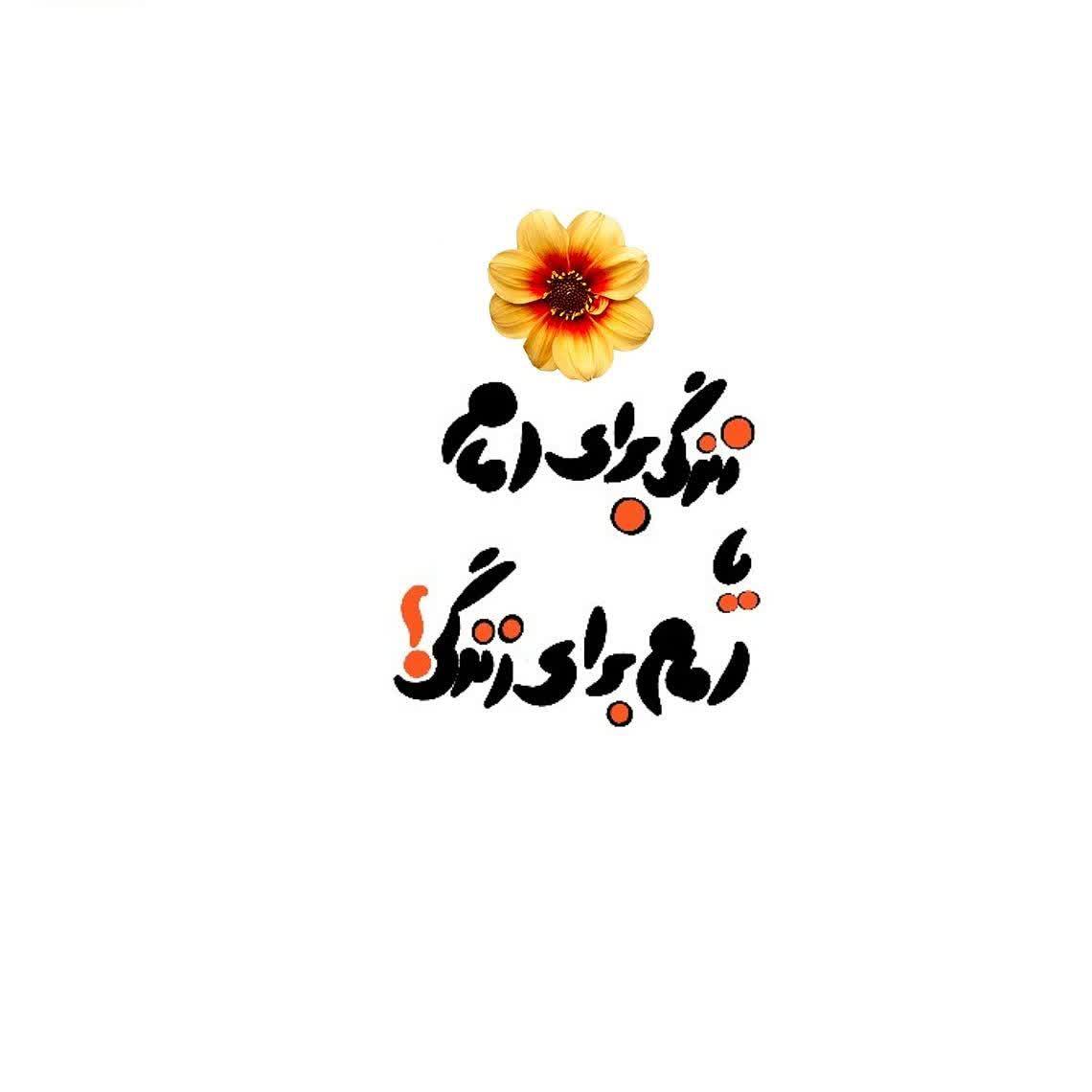 تولیدی