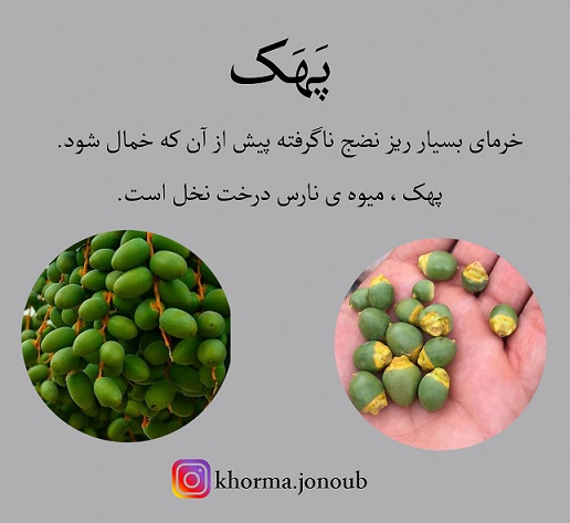 پهک رطب حارک خرما