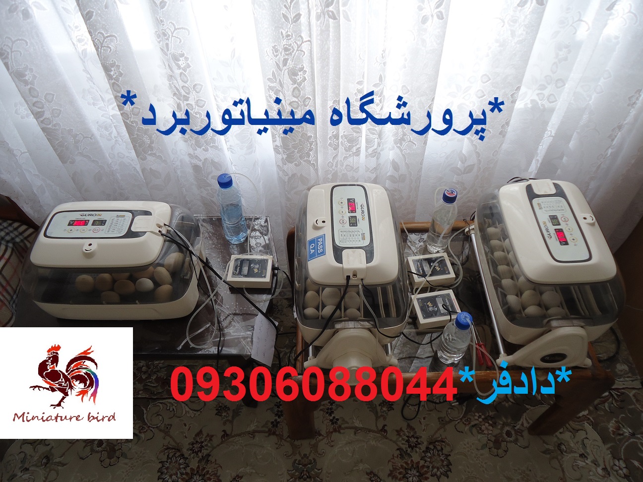 http://s9.picofile.com/file/8368255750/DSC01391.JPG