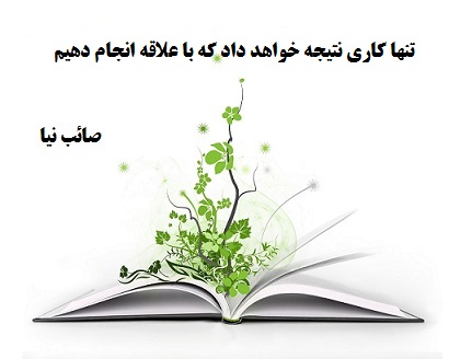 صائب نیا