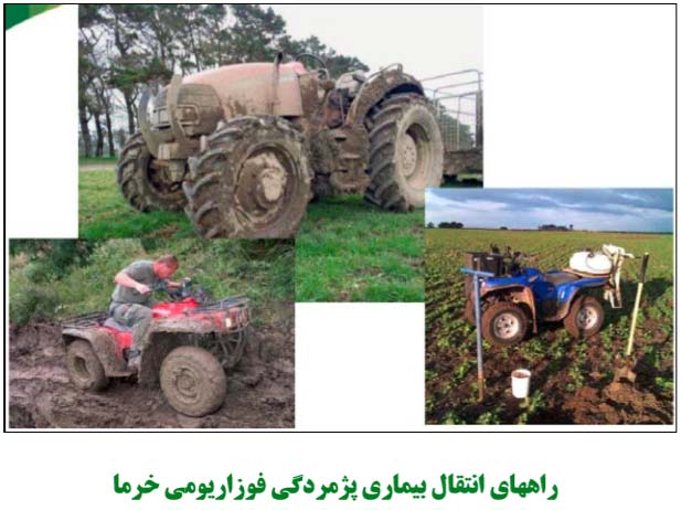 ادوات کشاورزی عامل انتقال بیماری پژمردگی فوزاریومی خرما به مناطق دوردست