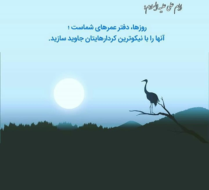 روزها دفتر عمر
