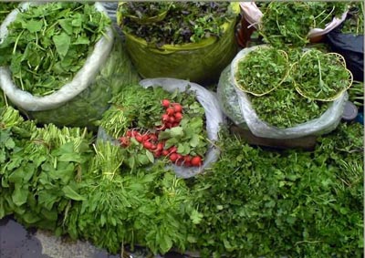 سبزی ایران معجزه قرن